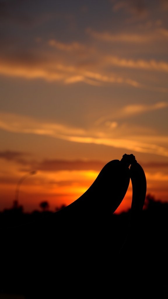 25 Creative Banana Wallpaper Designs for Your Phone Silhouette of bananas against a colorful sunset